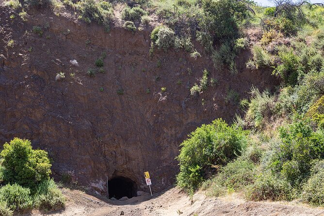 Holy Biodiversity, Batman! A Naturalist's "Batcaves" Tour - Price and Timing: Is $35 Worth One Hour?