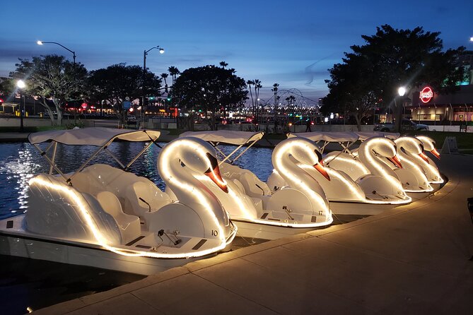 Illuminated Swan Boat Night Ride on Rainbow Lagoon - Key points before you go