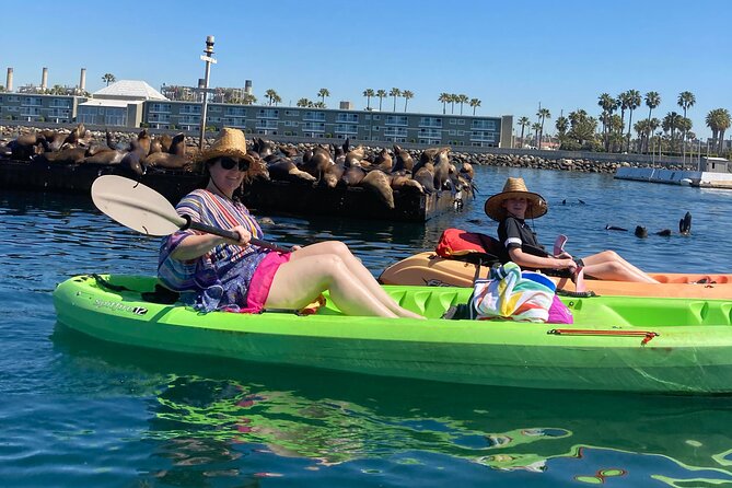 Kayak with Sea Lions in a Calm, Beautiful, Redondo Beach Harbor - Gary’s Kayak Coaching and Wildlife Tricks You’ll Remember