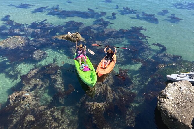 Kayak with Sea Lions in a Calm, Beautiful, Redondo Beach Harbor - Snorkeling in a Protected Bay: Warm Moments, Wetsuits, and Real Instruction
