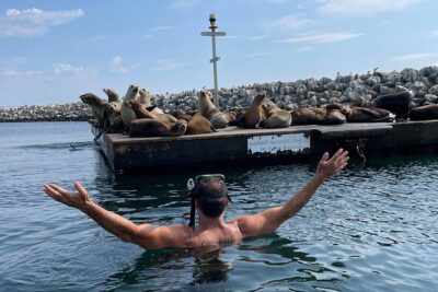 Kayak with Sea Lions in a Calm, Beautiful, Redondo Beach Harbor - Stop-by-Stop: From Redondo Beach Pier to Naja’s Place and Back