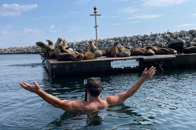 Kayak with Sea Lions in a Calm, Beautiful, Redondo Beach Harbor - Stop-by-Stop: From Redondo Beach Pier to Naja’s Place and Back