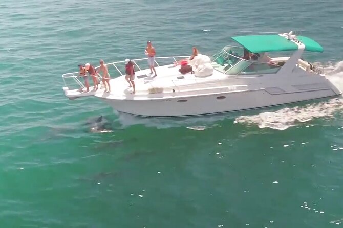 LA: Birthday Special Private Yacht (1 ticket covers 1-6 people) - Who This Private Yacht Birthday Cruise Is Best For