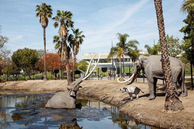 La Brea Tar Pits and Museum Admission Ticket with Excavator Tour - What your $18 ticket includes (and what to plan for)