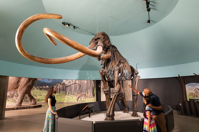 La Brea Tar Pits and Museum Admission Ticket with Excavator Tour - Museum time: Ice Age fossils and the working paleontology rooms