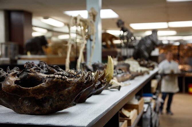 La Brea Tar Pits and Museum Admission Ticket with Excavator Tour - Getting the most out of a 2-hour visit in Los Angeles