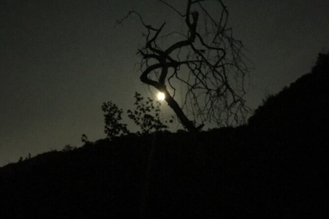 LA Night Hikers - Griffith Park After Dark: What the Experience Actually Feels Like
