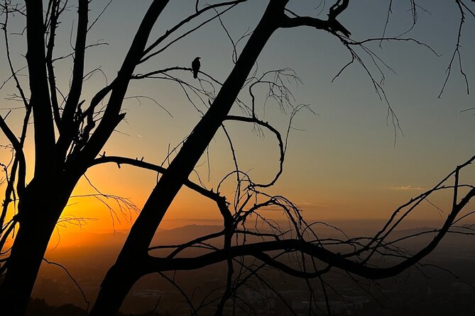 LA Night Hikers - Safety and Comfort: Heights, Fitness, and Weather Reality