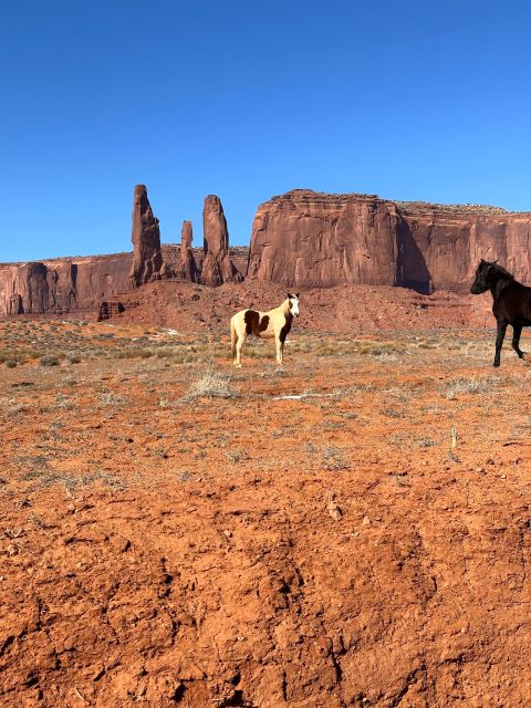 LA: San Francisco, Yosemite, Las Vegas, Antelope, 8-Day Tour - Quick logistics you’ll care about from the start