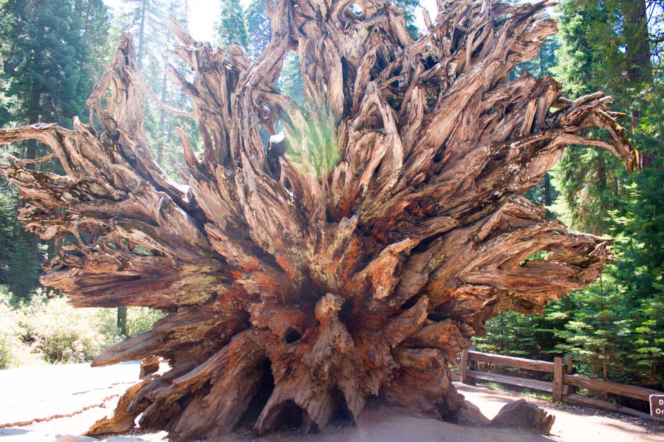 LA: San Francisco, Yosemite, Vegas, Grand Canyon 7-Day Tour - Day 7: Zion Park’s Virgin River Walk and the Late Return Toward LA