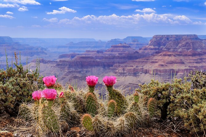 LA: Vegas, Grand Canyon, Antelope and Bryce, Zion 4-Day Tour - Transportation, group size, and the small rules that matter