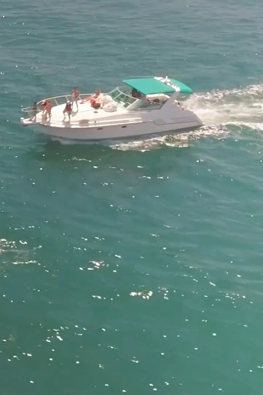 Long Beach: 3hr Private Yacht Trip (1 ticket covers 1-6 ppl) - Timing, Weather, and What You Can Do With a 3-Hour Window