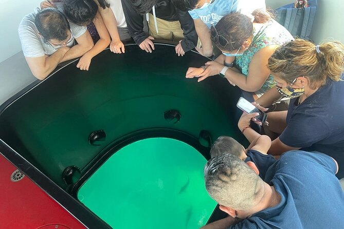 Long Beach Glass Bottom Boat Eco-Tour - The 1-Hour Rhythm: What the Timeline Feels Like