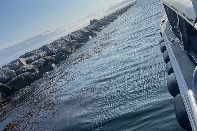 Long Beach Glass Bottom Boat Eco-Tour - Seals, Sea Lions, and the Buoy-Spot Energy