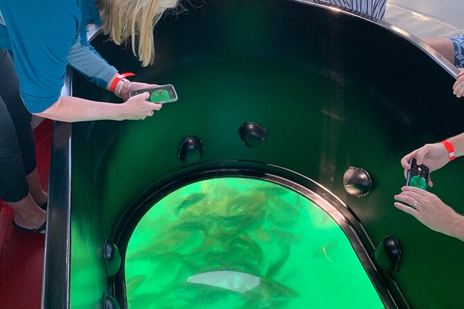 Long Beach Glass Bottom Boat Eco-Tour - Feeding Fish and Getting the Front-Row Moment
