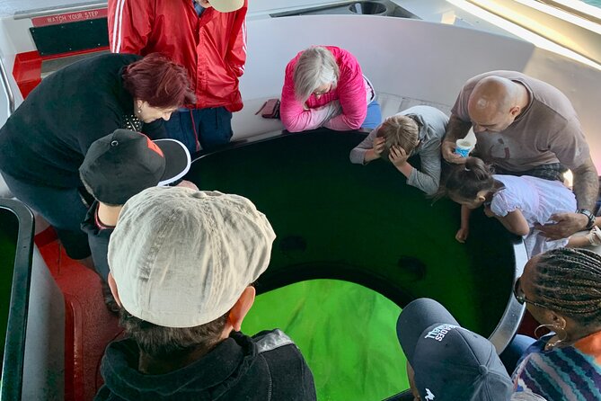 Long Beach Glass Bottom Boat Eco-Tour - Glass Bottom Boat Reality Check: Small Boat, Limited Angles