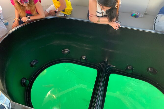 Long Beach Glass Bottom Boat Eco-Tour - The Crew Experience: Attentive Service, But Audio Can Be Loud