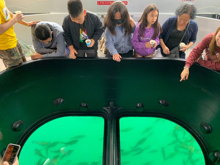 Long Beach: Glass Bottom Boat Harbor Ecotour - A one-hour ecotour that actually keeps kids interested
