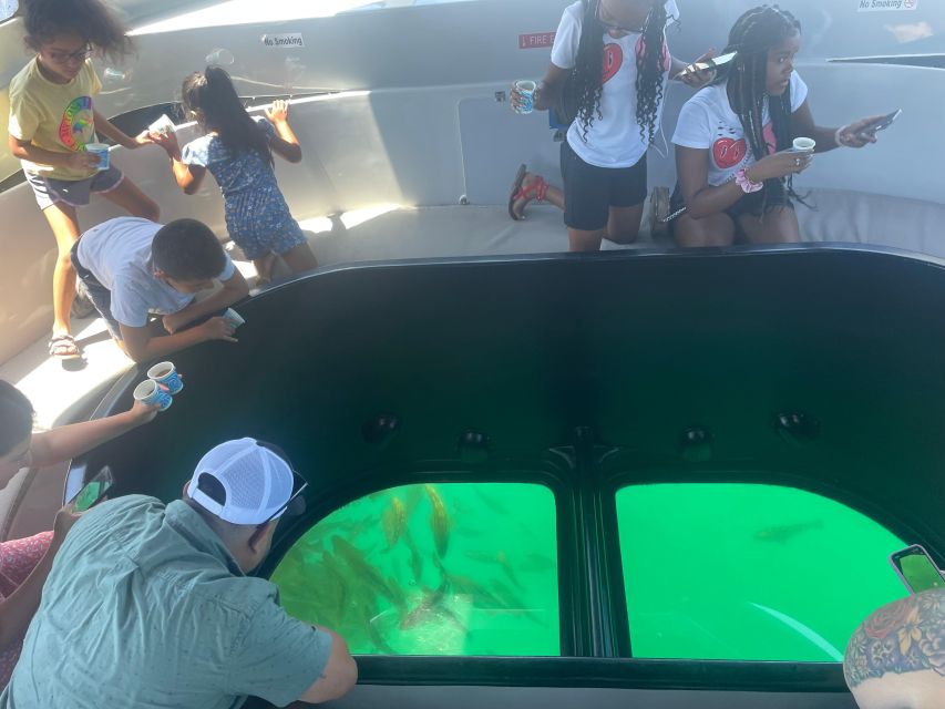 Long Beach: Glass Bottom Boat Harbor Ecotour - What you’ll see under the glass floor (and why it’s worth the price)