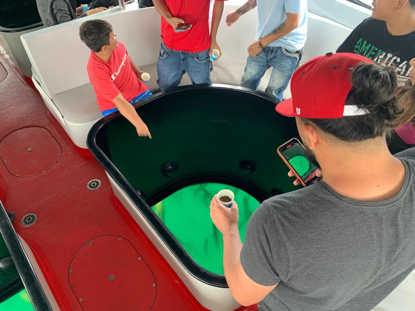 Long Beach: Glass Bottom Boat Harbor Ecotour - Pricing: Is $30 for an hour of wildlife viewing good value?