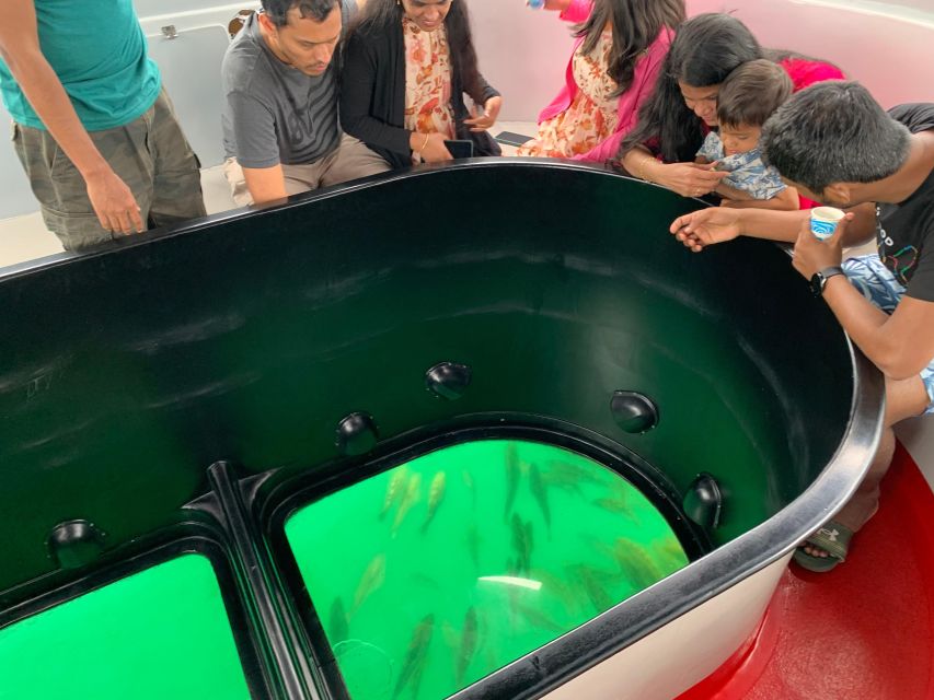 Long Beach: Glass Bottom Boat Harbor Ecotour - Quick practical tips before you go