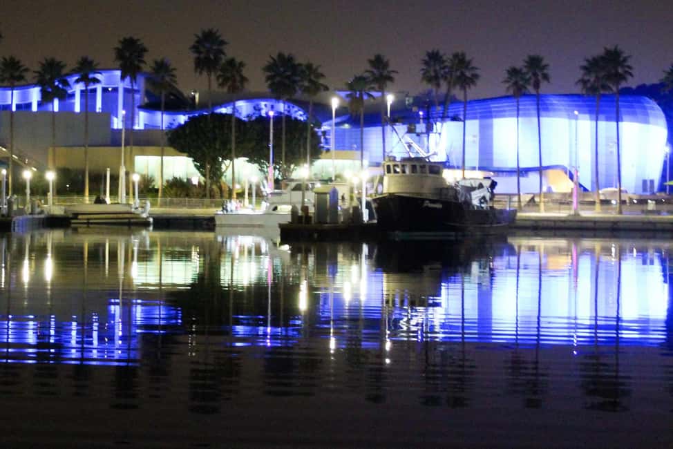 Long Beach: Private Night Yacht Cruise With City Lights - Safety and Comfort: What the Captain’s Approach Gets Right