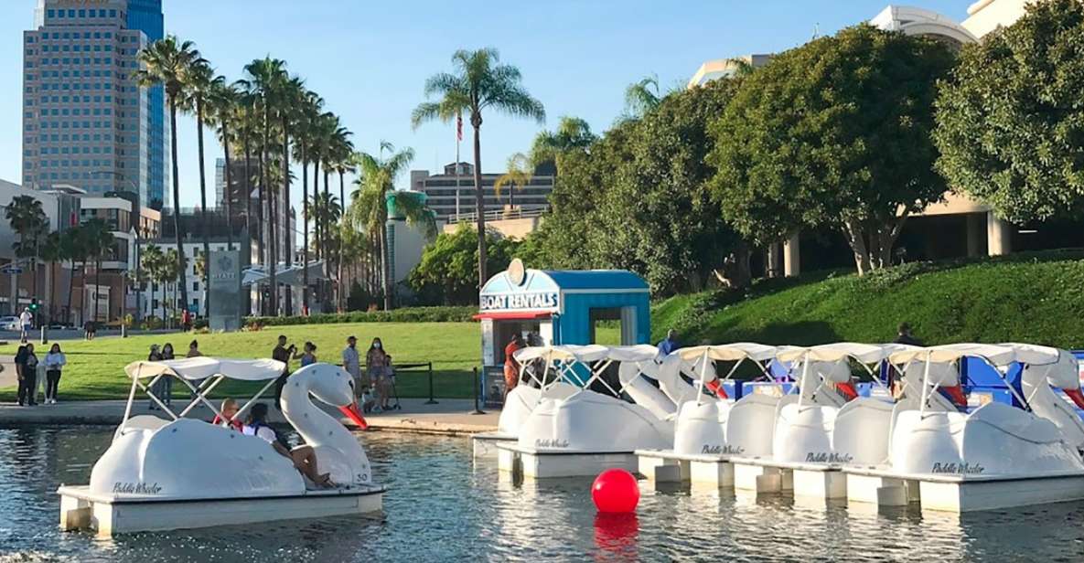 Long Beach: Swan Boat Rental at Rainbow Lagoon - LED Night Rides vs Midday Pedaling: When the Water Feels Calm