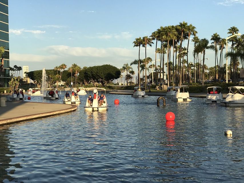 Long Beach: Swan Boat Rental at Rainbow Lagoon - Tips to Make the Most of Your Hour on Rainbow Lagoon