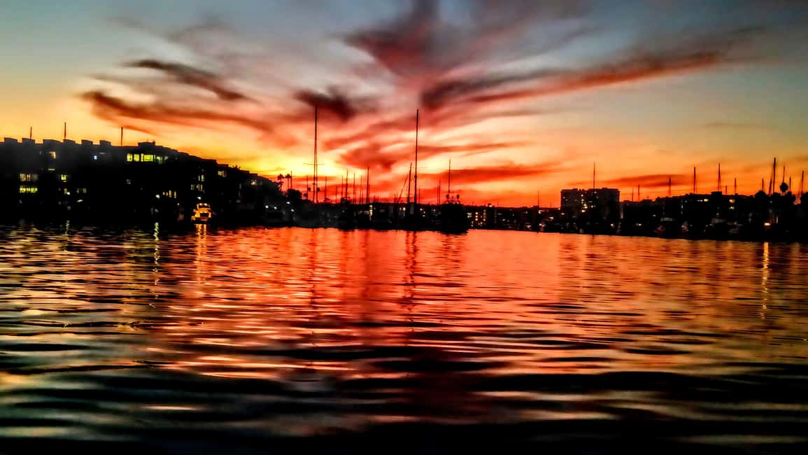 Los Angeles #1: Luxury Boat Cruise-Wine, Cheese & Sea Lions - Quick FAQ for Booking Confidence