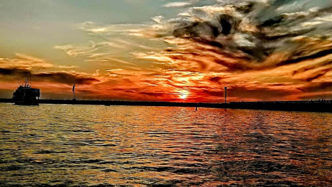 Los Angeles #1: Luxury Boat Cruise-Wine, Cheese & Sea Lions - Marina del Rey on a Quiet Electric Duffy Boat