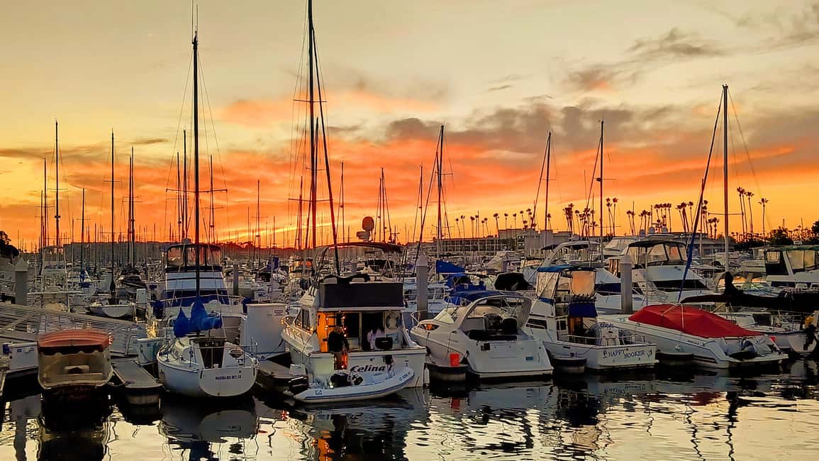 Los Angeles #1: Luxury Boat Cruise-Wine, Cheese & Sea Lions - The Route: Santa Monica, Marina Views, and Venice-Worthy West Side Energy