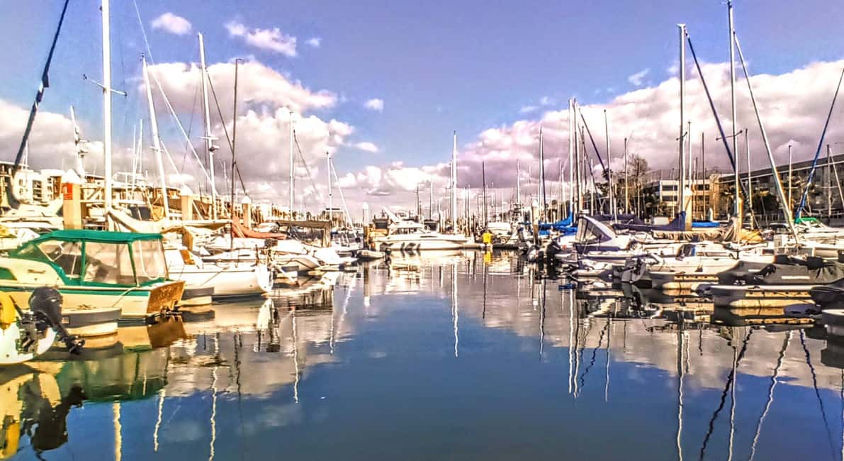 Los Angeles #1: Luxury Boat Cruise-Wine, Cheese & Sea Lions - Is This $149 Worth It? Value Check for Different Traveler Types