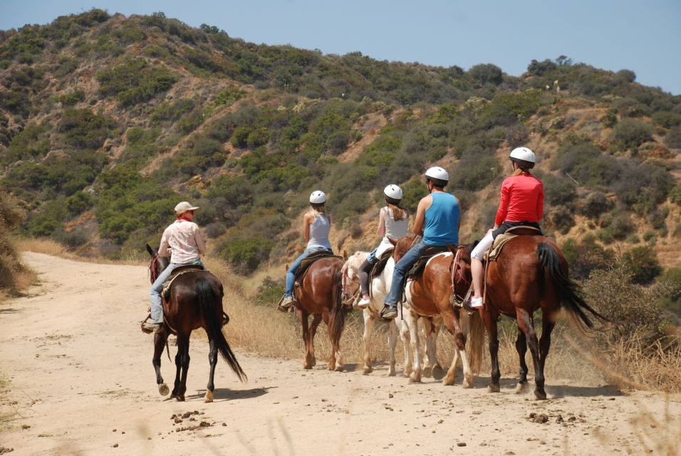 Los Angeles: 2-Hour Hollywood Trail Horseback Riding Tour - Why riding Griffith Park from a ranch near Hollywood works so well