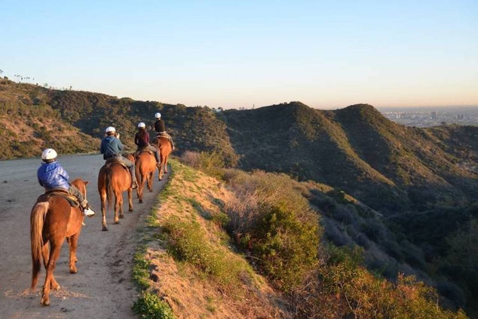 Los Angeles: 2-Hour Hollywood Trail Horseback Riding Tour - The 2-hour trail: pace, group riding, and what the ride feels like