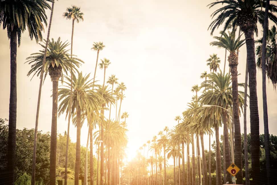 Los Angeles 4-Hour Private Tour: Beverly Hills & More - Quick Reasons This 4-Hour LA Tour Works So Well
