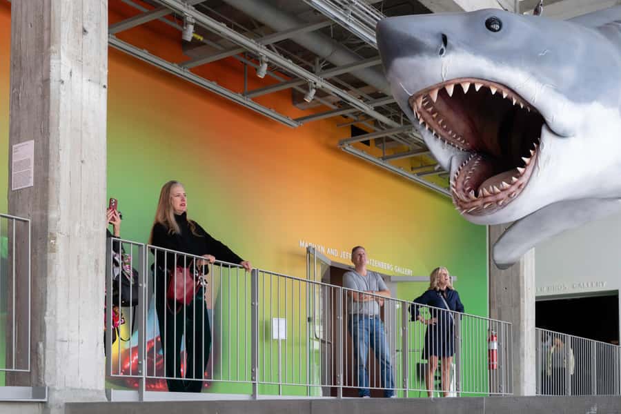 Los Angeles: Academy Museum of Motion Pictures Ticket - What’s Not Included: Screenings and the Oscars Experience