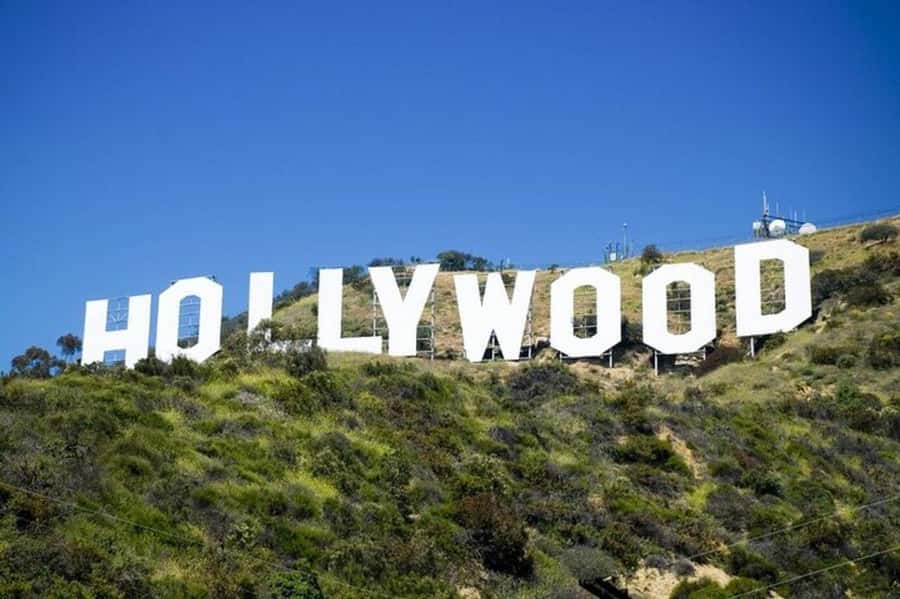 Los Angeles: City Highlights Tour From Cruise Port - Quick Hits Before You Go
