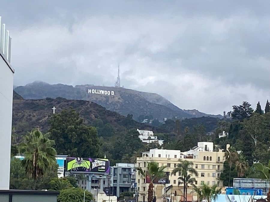 Los Angeles: City Highlights Tour From Cruise Port - Hollywood Boulevard Stops: Walk of Fame and Theaters You Know