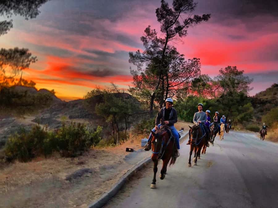 Los Angeles: Evening 2-Hour Hollywood Horseback Riding Tour - Why this 2-hour Hollywood ride feels like a mini escape