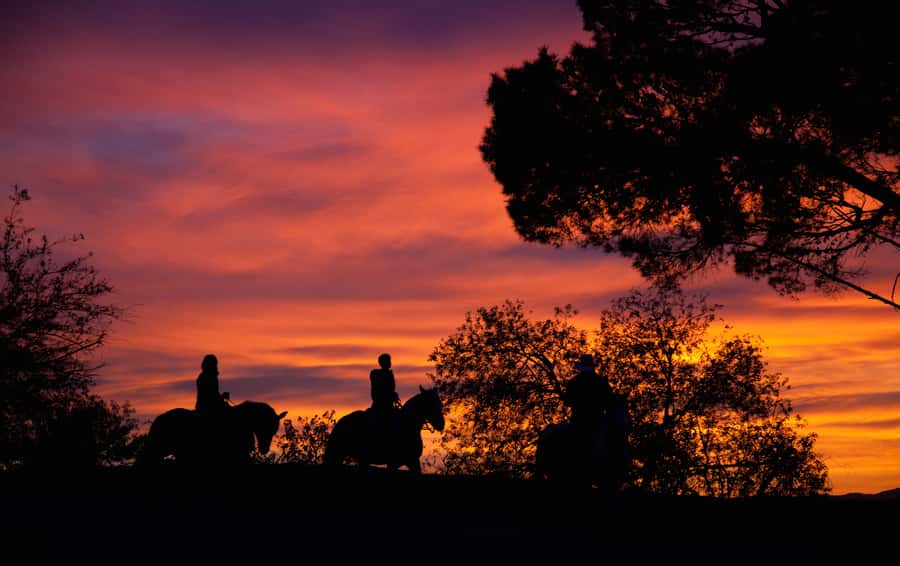 Los Angeles: Evening 2-Hour Hollywood Horseback Riding Tour - Riding style, horse handling, and what the trail really feels like