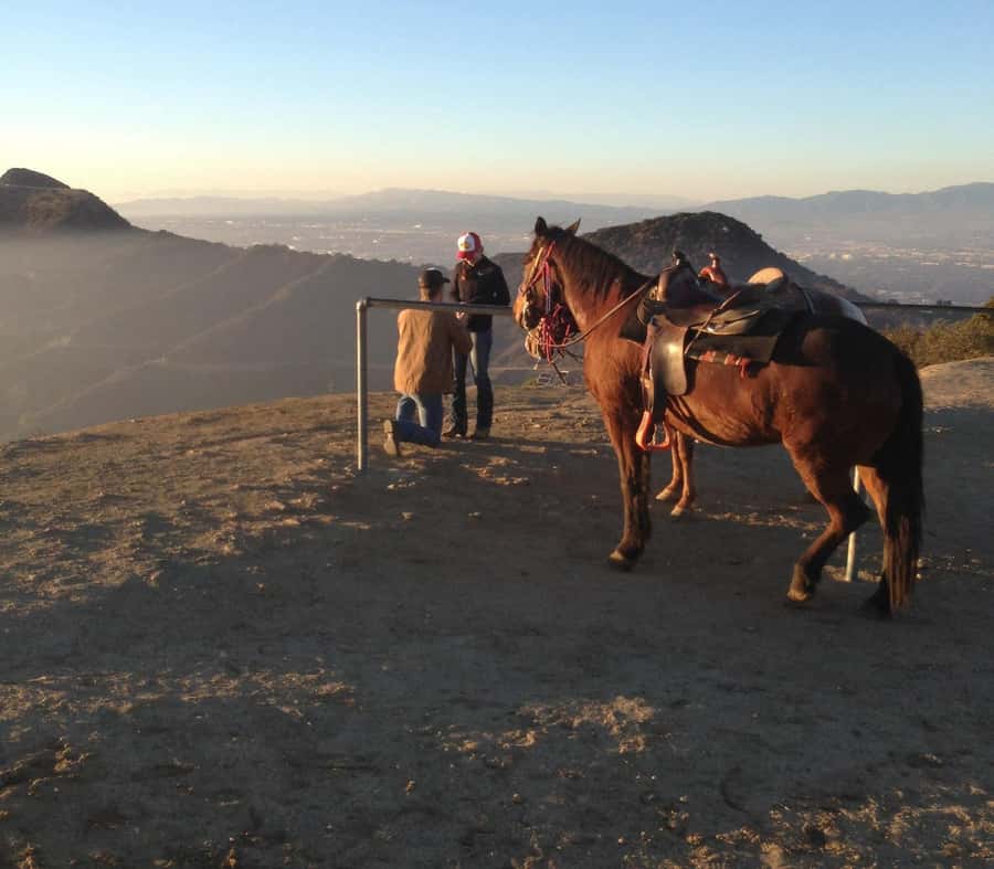 Los Angeles: Evening 2-Hour Hollywood Horseback Riding Tour - 360-degree viewpoints: Hollywood Sign, Observatory, and downtown LA