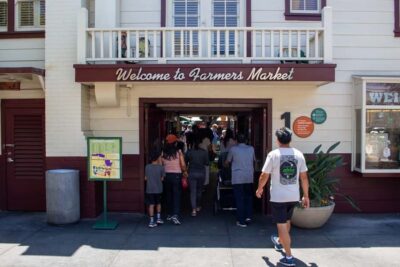 Los Angeles: Famous Neighbourhoods and Celebrity Homes Tours - Hollywood Walk of Fame, Sunset Strip, and the Westside drive