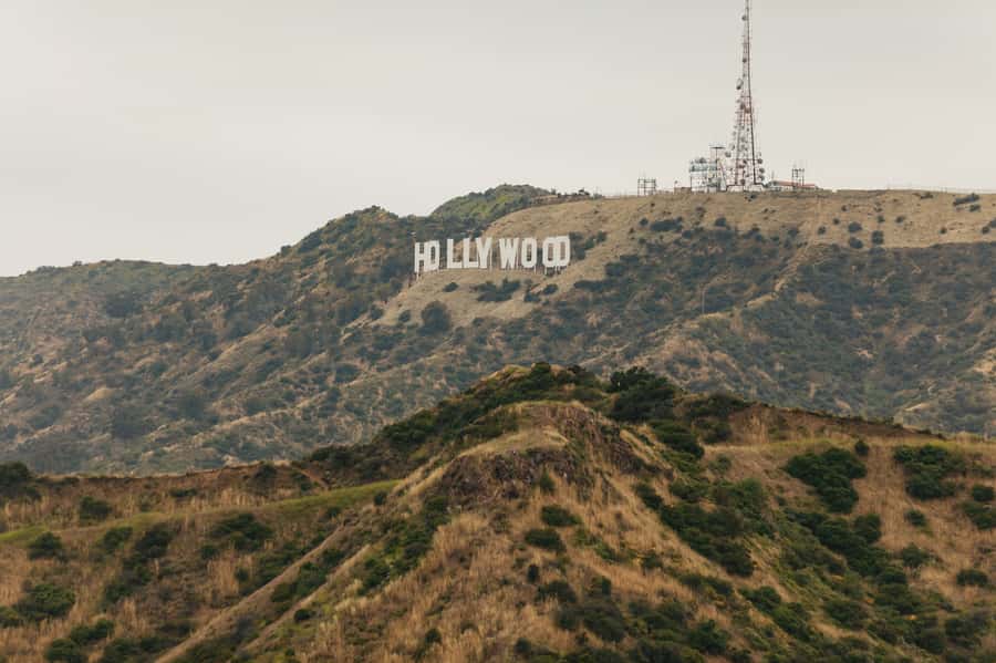 Los Angeles: Half-Day Best of LA Sightseeing Tour - Griffith Observatory: Downtown Views and the Best Hollywood Sign Angle