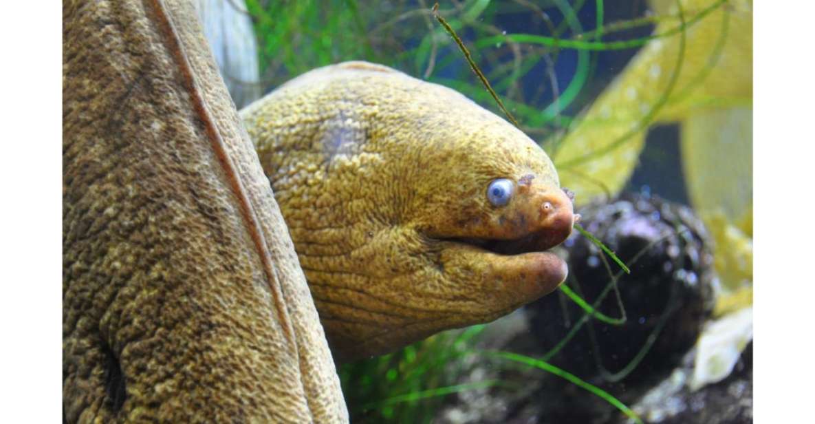 Los Angeles: Heal The Bay Aquarium in Santa Monica - Touch tanks: the real draw (and why you’ll remember it)