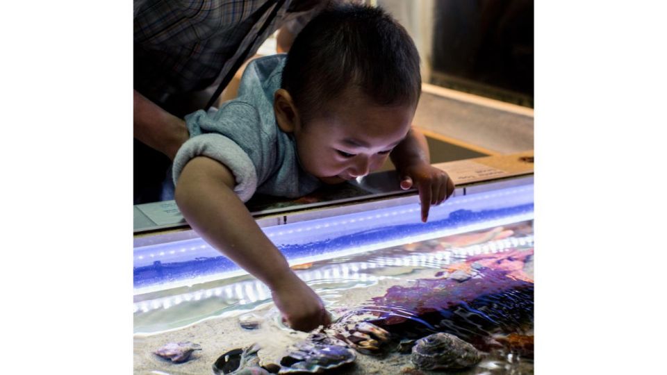 Los Angeles: Heal The Bay Aquarium in Santa Monica - Should you book this Santa Monica aquarium?