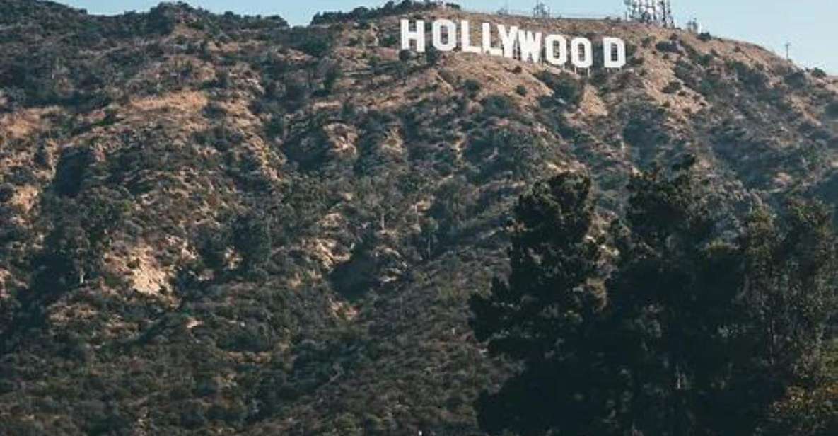 Los Angeles: L.A. Highlights in One Day Guided Experience! - Who should book this tour (and who might not)
