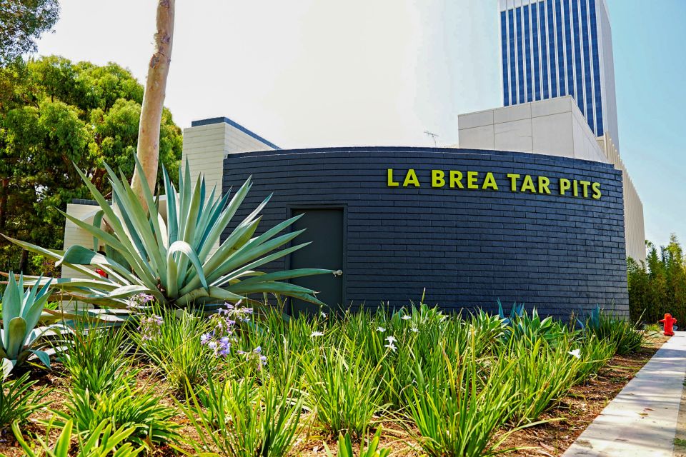 Los Angeles: La Brea Tar Pits Museum Ticket - Key things you’ll notice (and why they matter)