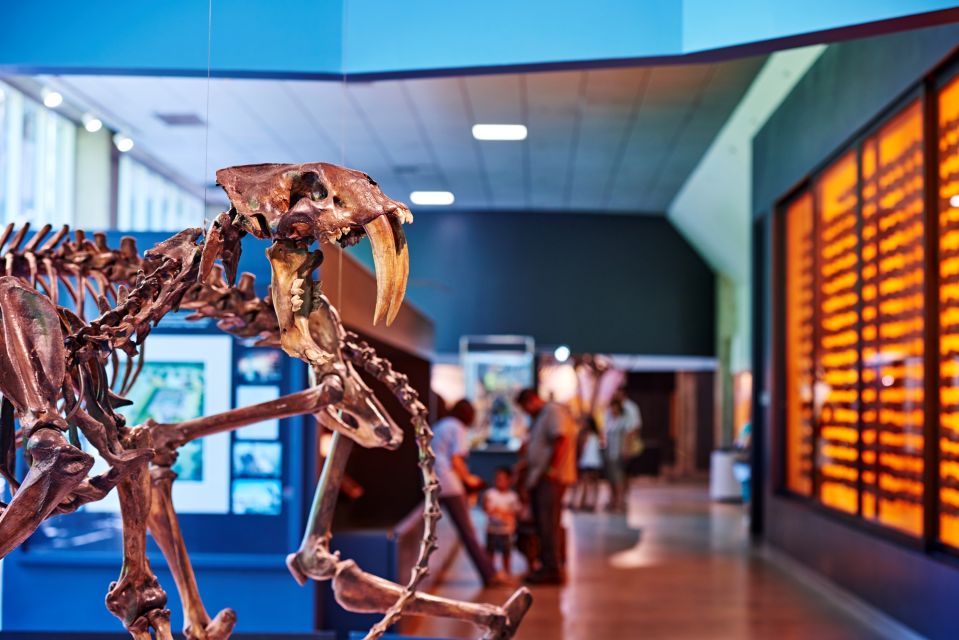 Los Angeles: La Brea Tar Pits Museum Ticket - La Brea Tar Pits Museum: a one-day ticket that feels like live discovery