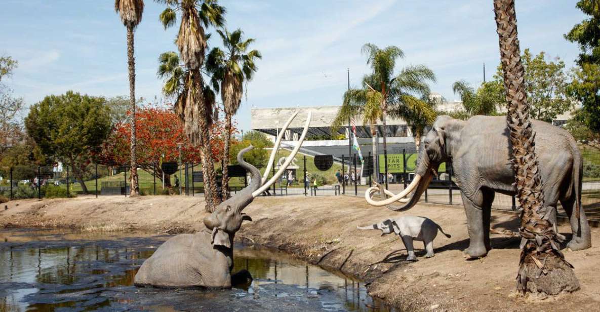 Los Angeles: La Brea Tar Pits Museum Ticket - Pleistocene Gardens: a breathing space between big science moments