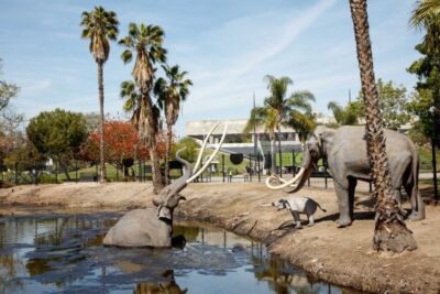 Los Angeles: La Brea Tar Pits Museum Ticket - Pit 91 and the bubbling tar: where the Ice Age becomes physical